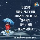 [미니주책스 2기 후기] 빗속에서 춤추는 법을 배우는 중