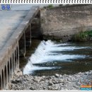 정선초교가수분교 이미지