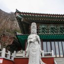 상선민박 이미지