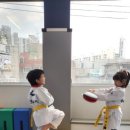 다움태권도장 이미지