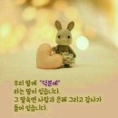 덕분 Daum카페