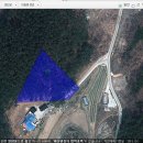 소나무숲속의하얀집 이미지