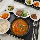 초아국수 | '26 27주차 일상 포토덤프