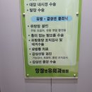 가슴/ 유방 맘모톰 수술후기 1탄 (군산 항장 앤 유외과)
