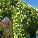 해남군청 이미지