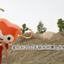 수니글로벌