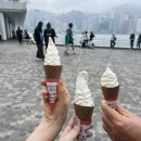 미스터소프티 | 편] tong tong tong 망고사고, 베이크하우스 에그타르트, 침사추이 아이스크림 미스터 소프티 솔직 후기
