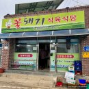 암소와꽃돼지