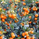 이스트팜 이미지