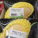 베이커리후 이미지