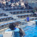 용인대 S.M복싱 | 욘욘의 우당탕탕 일본일기 - 열일곱 번째 장