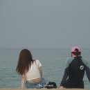 와이키키서프