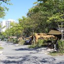 초안산 캠핑장 이미지