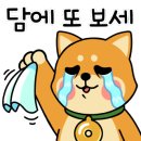 신일조명