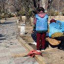 세경할인마트 | ::춘천 공지천조각공원, 석사천::따뜻한 봄날씨에 나들이하기 좋은 명소! 산책 즐기고 왔어요!