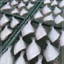 10월 31일(화) 목포는항구다 생선카페 판매생선 [ 먹갈치[ 6미, 8미] , 파갈치(중대) ] 이미지