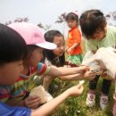 여왕목장 이미지