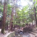 동아대학교의료원 이미지