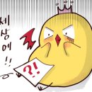 해피카크리닝