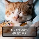 리오성형외과의원 이미지