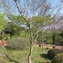 청도군-18 이미지