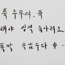 고찌글라 이미지