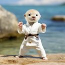 그린태권도 이미지