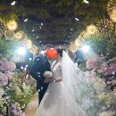 강남빌리지 | [치먹기의 결혼준비기 #10]메리빌리지 웨딩 본식 스냅 촬영후기 (구 카멜리아 웨딩)｜ @라온제나 강남