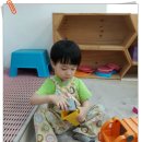 꼬마대통형 Daum카페