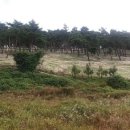 송정섭농장 이미지