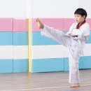 한국체대 바른 태권도장 이미지