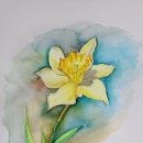 샐러리맨 이미지