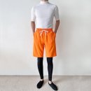 3379 이미지
