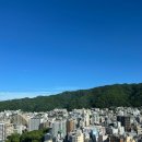 동물왕국 | [해외여행] 23개월 아기와 고베 동물왕국 DAY2 솔직후기