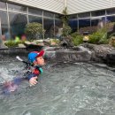 아쿠아산소사우나 | 2월 스파밸리 후기ㅣ대구 겨울 워터파크 온수풀, 할인 총정리