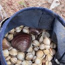 잡고굽고 이미지