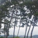 옥포3근린공원 이미지