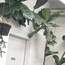 오늘은 헤어 | - 오늘은 대치동미용실 그라츠헤어 방문 후기를 생생하게 들려드릴게요!