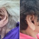 딜라이트보청기(부천점) 이미지