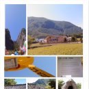 삼배목장 이미지