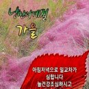 🍒10월 25일 금요일 간추린 아침뉴스입니다 이미지