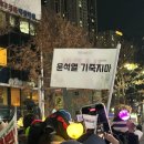 하나로연합의원 | 윤석열 탄핵 정국 관련 짤방 모음집