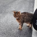 행정11길 4, (목행동) | 충주 카페 추천 굿나잇커피앤북