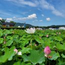 동궁과월지 주차장 화장실 이미지