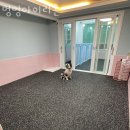 더벤티광양 이미지