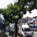 김호철치과의원