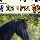 비즈온포유 네이버블로그