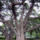 신평보건진료소 이미지