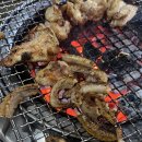 또또꼼장어 이미지