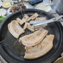 한재스타미나리 이미지